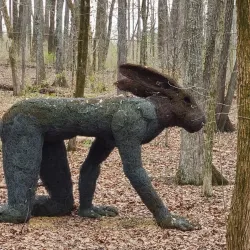 Cheekwood Estate & Gardens - Nashville