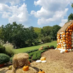 Cheekwood Estate & Gardens - Nashville
