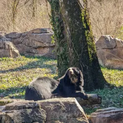 Nashville Zoo at Grassmere - Nashville