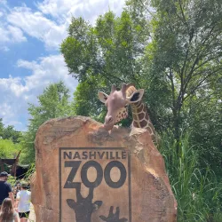 Nashville Zoo at Grassmere - Nashville