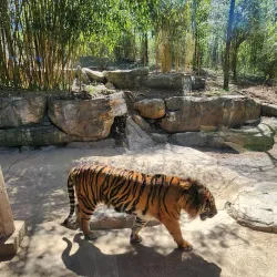 Nashville Zoo at Grassmere - Nashville