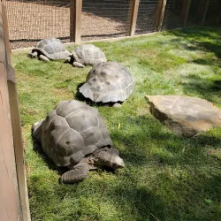 Nashville Zoo at Grassmere - Nashville
