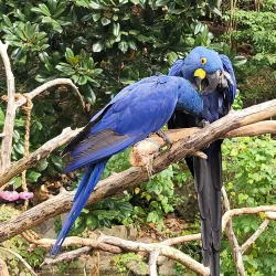 Nashville Zoo at Grassmere - Nashville