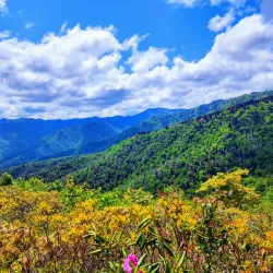 Great Smoky Mountains National Park - Pigeon Forge
