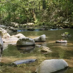 Great Smoky Mountains National Park - Pigeon Forge