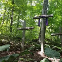 Parrot Mountain and Gardens - Pigeon Forge