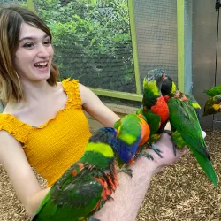 Parrot Mountain and Gardens - Pigeon Forge