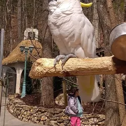 Parrot Mountain and Gardens - Pigeon Forge