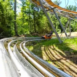 Smoky Mountain Alpine Coaster - Pigeon Forge