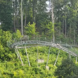 Smoky Mountain Alpine Coaster - Pigeon Forge