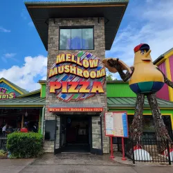 The Island in Pigeon Forge - Pigeon Forge