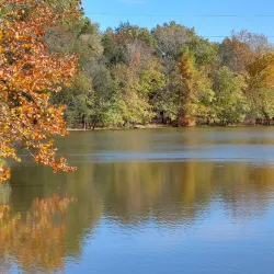 Bledsoe Creek State Park - Pikeville