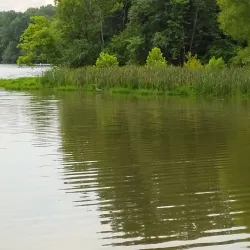 Bledsoe Creek State Park - Pikeville