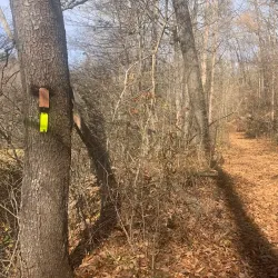 Cumberland Trail State Park (nearby) - Pikeville