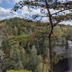 Fall Creek Falls State Park (nearby) - Pikeville