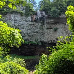 Fall Creek Falls State Park (nearby) - Pikeville