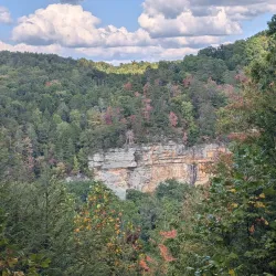 Fall Creek Falls State Park (nearby) - Pikeville
