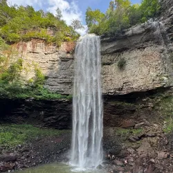 Fall Creek Falls State Park (nearby) - Pikeville