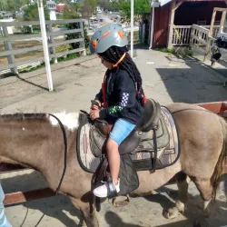 Adventure Park Ziplines - Sevierville