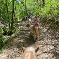 Adventure Park Ziplines - Sevierville