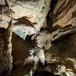 Forbidden Caverns - Sevierville