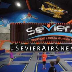 Sevier Air Trampoline and Ninja Warrior Park - Sevierville