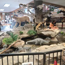 Smoky Mountain Knife Works - Sevierville