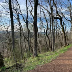 Heritage Park - Spring Hill