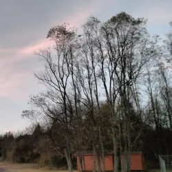 Heritage Park - Spring Hill