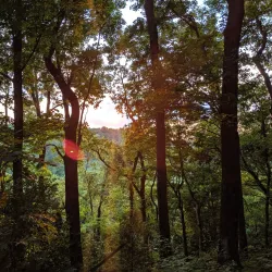 Heritage Park - Spring Hill