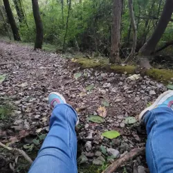 Heritage Park - Spring Hill