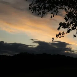 Heritage Park - Spring Hill