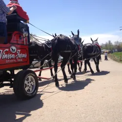 Maury County Park - Spring Hill