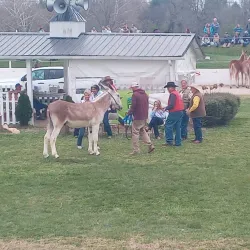 Maury County Park - Spring Hill
