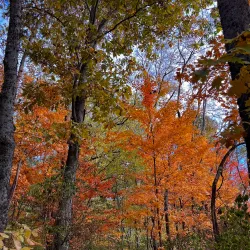 Maury County Park - Spring Hill