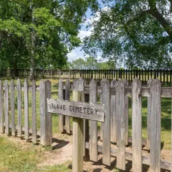 Rippavilla Plantation - Spring Hill