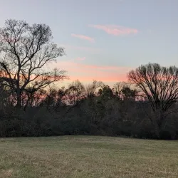 Spring Hill Battlefield - Spring Hill