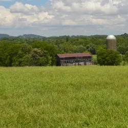 Spring Hill Battlefield - Spring Hill