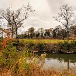 Spring Hill City Park - Spring Hill