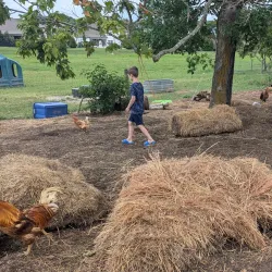 Spring Hill Farmers Market - Spring Hill