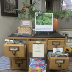 Spring Hill Public Library - Spring Hill