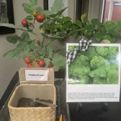 Spring Hill Public Library - Spring Hill