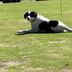 Twin Lakes Golf Course - Spring Hill