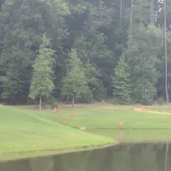 Twin Lakes Golf Course - Spring Hill