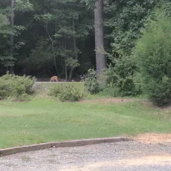 Twin Lakes Golf Course - Spring Hill