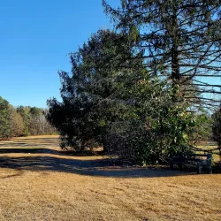 Twin Lakes Golf Course - Spring Hill