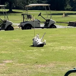 Twin Lakes Golf Course - Spring Hill