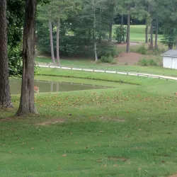 Twin Lakes Golf Course - Spring Hill