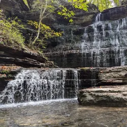 Tullahoma Regional Park - Tullahoma