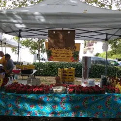 Union City Farmers Market - Union City
